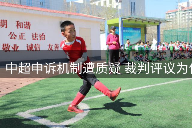 中超申诉机制遭质疑 裁判评议为何难平众怒