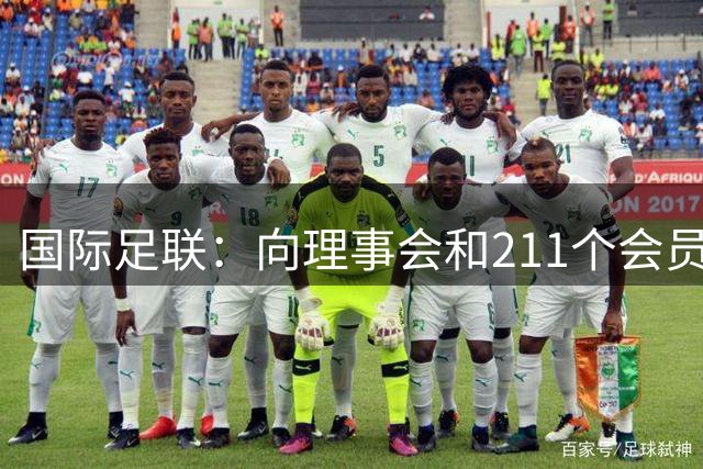 国际足联：向理事会和211个会员协会致歉